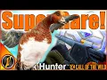 Download Lagu I Shot a SUPER RARE Duck \u0026 Didn't Even Know It! | theHunter Call of the Wild