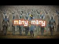 Prinx Emmanuel - Many (Lyrics video)