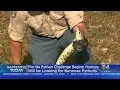 Annual Florida Python Challenge Kicks Off Friday