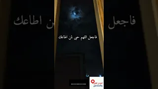 دعاء الشيخ الشعراوي 