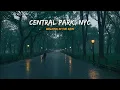 Walking in the Rain CENTRAL PARK NYC Binaural Heavy Rain Umbrella Thunder Nature Sounds