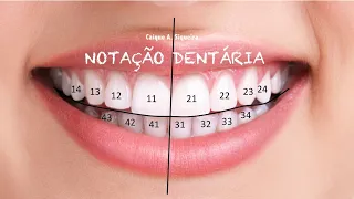 Notação Dentária / Número dos Dentes