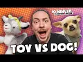 REAL DOGS vs Robotpets who will win