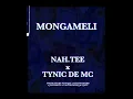 Download Lagu MONGAMELI: Nah.Tee Ft Tynic De Mc (Official Visualiser)