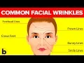 What These 7 Types Of Wrinkles Say About Your Health