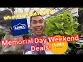 LOWE S MEMORIAL DAY PLANT SALES 2026 Massive Selection of Easy Care Houseplants