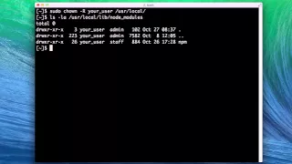 Fixing npm permissions