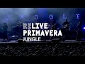 Download Lagu JUNGLE live at Primavera Sound 2015