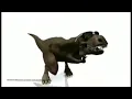 Dino dancing to morning flower 1 hour compilation remix