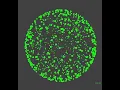 java custom 3d engine test part 01