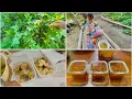 Download Lagu Membuat Stok Lauk Satu Minggu ‼️ Makan Dikebun Belakang ‼️