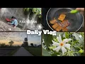 Download Lagu New vlog, made Tempeh 
