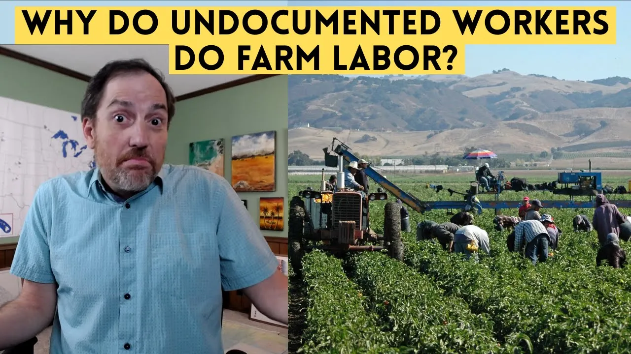 Why Is So Much Farm Labor Done by Undocumented Migrants? (Illegal Immigrants)