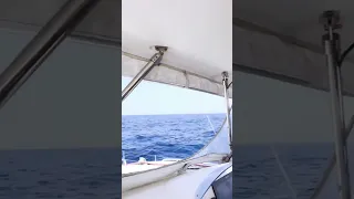 Always plan – we had crazy current and were so glad there wasn’t too much wind ⛵️#sailingfamily