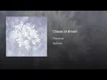 Clouds of Breath