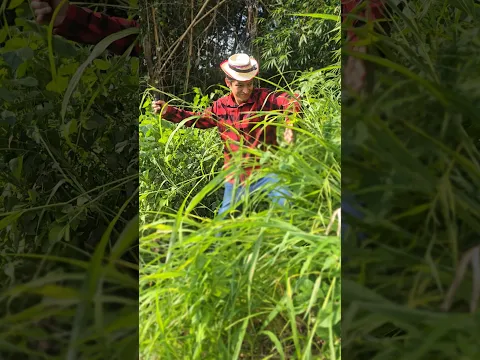 Le paso ESTO a PAPÁ 😱 #shorts #viralvideo
