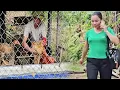 Download Lagu Her ex-husband came to catch Khanh's chicken while she was away and she was returning.