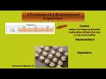 Principles of a Well designed Experiment