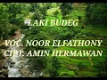 Download Lagu LAKI BUDEG LIRIK VOC.NOOR ELFATHONY CIPT.AMIN HERMAWAN