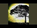 Download Lagu Peach tree