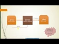 Java Program Execution inside the JVM JVM Architecture JVM Interview Questions Answers