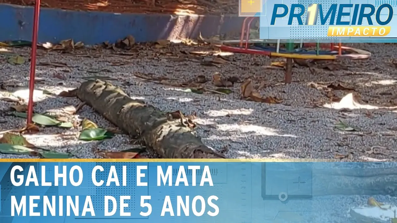 Criança morre após ser atingida por galho de árvore em escola | Primeiro Impacto (12/09/23)