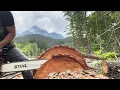 Stihl Barkbox
