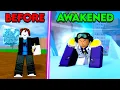 I Fully Awakened Ice and it s OVERPOWERED in Blox Fruits