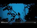 Ólafur Arnalds - Spiral | Slowed + Reverb