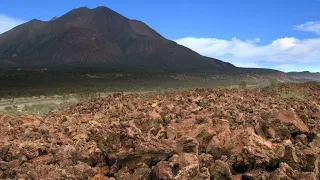 ملوك باجا حيث تلتقي الصحراء بالمحيط تحكم الحياة ضد كل الصعاب 