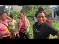 Download Lagu Y chơ  hu ton tay hươn ma dam leo pi nong ơi 