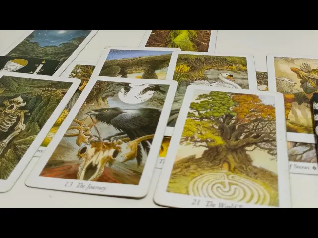 სარკე-როგორ უყურებ საკუთარ თავს,სხვები როგორს გხედავენ და როგორი ხარ სინამდვილეში