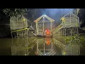 Lagu Camping saat air sungai meluap kerena hujan deras, memancing dan menjaring ikan di pondok atas air