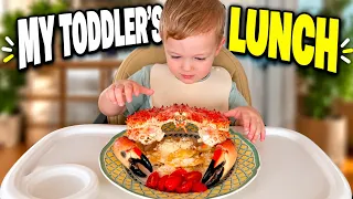 My toddler’s lunch 