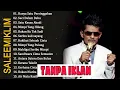 Download Lagu SALEEM IKLIM TANPA IKLAN