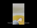 led light bulbs from lowes led light bulbs at screwfix do led bulbs have a filament