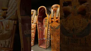 معلومات مهمة عن المتحف المصري الكبير فلوجات اكسبلور Vlog Travel  معلومات مهمة عن المتحف المصري الكبير فلوجات اكسبلور Vlog Travel