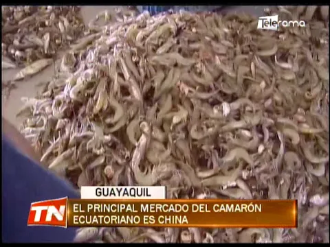 Lenín Moreno verificó medidas de bioseguridad de empresa camaronera