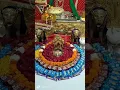 Lagu Today shringar darshan Shri Kali mata mandir kalka ji se