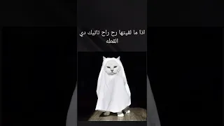 قوم اقرا الامتحان قرب     دندنها