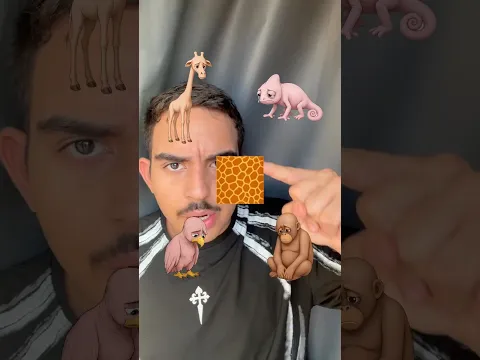 ¿DE QUÉ ANIMAL SON ESTAS PIELES?