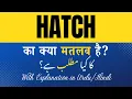 Hatch Meaning in Hindi Hatch Ka Kya Matlab Hota Hai Explanation Included