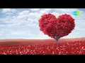 Mausam Pyar Ka with lyrics | मौसम प्यार का रंग बदलता रहे | Asha Bhosle & Kishore Kumar | Sitamgar