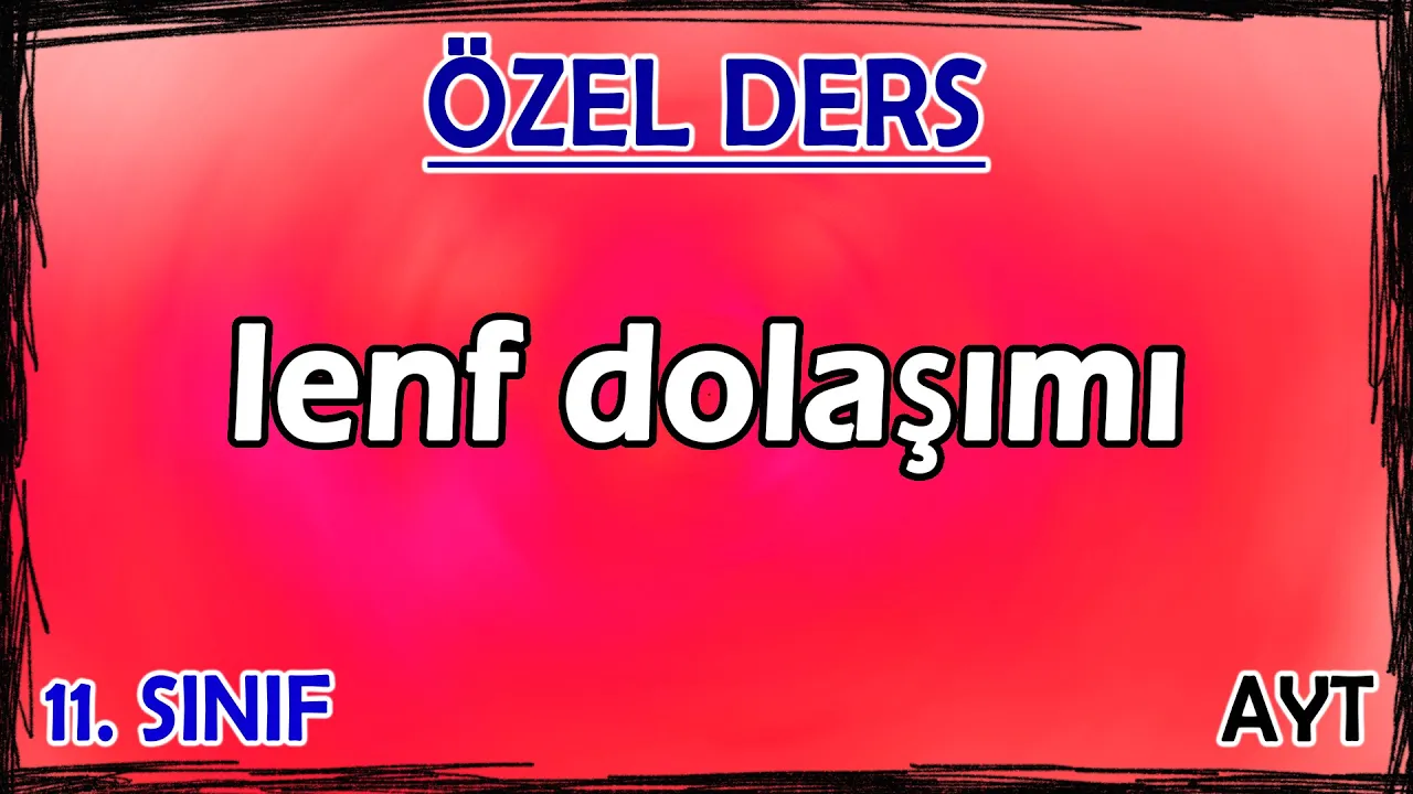 23) Dolaşım Sistemi 5 - Lenf Dolaşımı - Özel Ders (11. Sınıf)