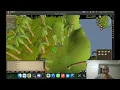 OSRS Guide - Teak Log Woodcutting