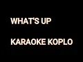 Download Lagu WHAT'S UP - 4 NON BLONDES KARAOKE DANGDUT KOPLO HD QUALITY