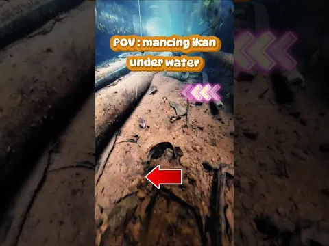 Ngeliat Ikan makan pancing dari bawa air #mancing #mancingmania #fishing