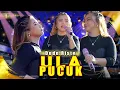 Download Lagu ULA PUCUK VOC. DEDE RISTY | LIVE MUSIC GANJENE PANTURA