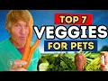 Top 7 Veggies for Dogs That Boost Health And 3 You Should Avoid