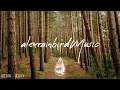Into The Woods 🌲 - A Mysterious Indie/Folk/Pop Playlist | Vol. 2
